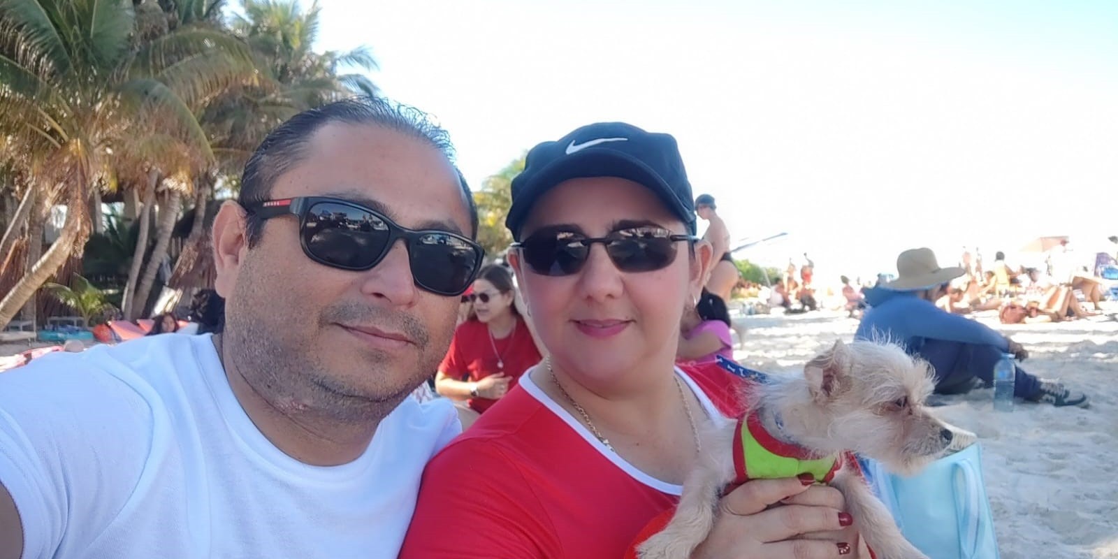 Equipo de Viajes en Oferta en oficina